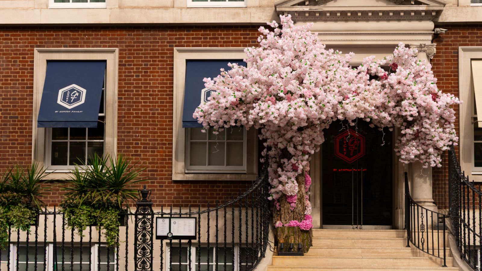 Lucky Cat Mayfair, London